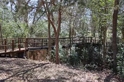 453 N Washington Street, Round Top, TX 78954 - Photo 18