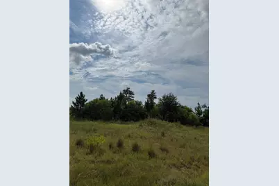 298 Road 5601, Cleveland, TX 77327 - Photo 4
