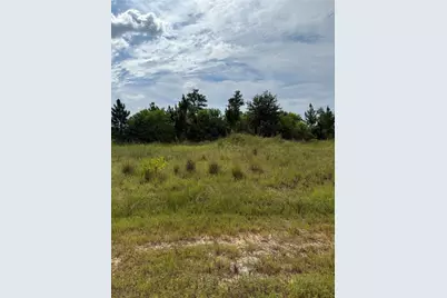 298 Road 5601, Cleveland, TX 77327 - Photo 4