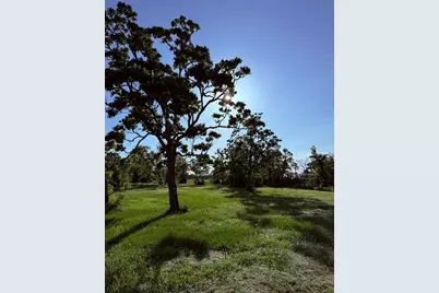 8686 Fm-2004, Santa Fe, TX 77510 - Photo 48