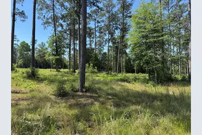 008 Private Road 6028 Tract 1-8, Brookeland, TX 75931 - Photo 2