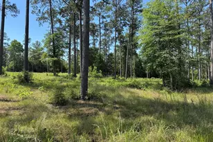 008 Private Road 6028 Tract 1-8, Brookeland, TX 75931 - Photo 2