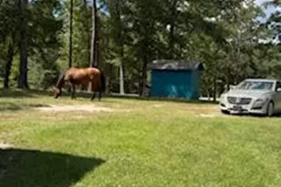 117 121 129 A B C & D Kalyn Rd, Huntsville, TX 77340 - Photo 14