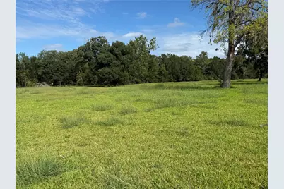 2988 County Road 5, West Columbia, TX 77486 - Photo 4