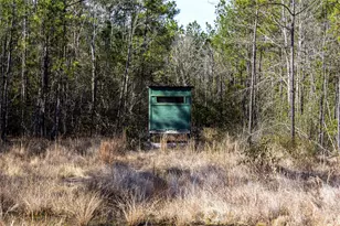 1865 Hwy 326 N, Kountze, TX 77625 - Photo 1