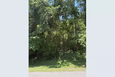 Tbd Lake Drive, Onalaska, TX 77360 - Photo 4