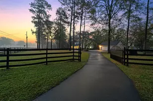 22323 Roberts Cemetery Rd, Hockley, TX 77447 - Photo 4