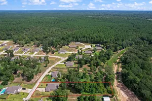 152 Leila Ln, New Waverly, TX 77358 - Photo 48