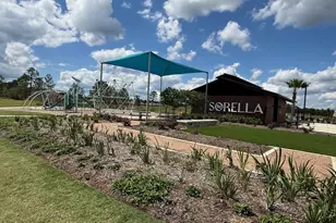 21007 Carob Tree Ln, Tomball, TX 77377 - Photo 16