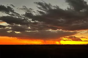 7391 Fm 2546, El Campo, TX 77437 - Photo 50