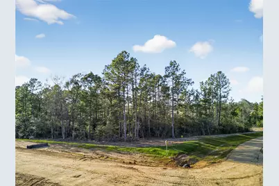 100 Remington Court, Coldspring, TX 77331 - Photo 4