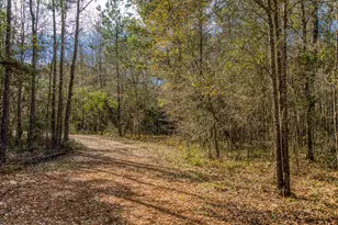 5280 Whitaker Wy, Anderson, TX 77830 - Photo 4