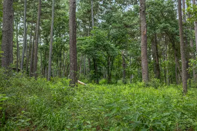 5772 Pr 2065, Centerville, TX 75833 - Photo 2