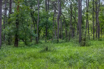 5772 Pr 2065, Centerville, TX 75833 - Photo 14