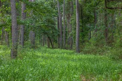 5772 Pr 2065, Centerville, TX 75833 - Photo 22