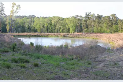 Tbd Harrell Road, Coldspring, TX 77331 - Photo 10