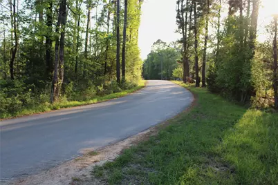 Tbd Harrell Road, Coldspring, TX 77331 - Photo 6