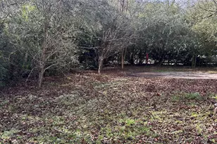 1503 Co Rd 4455, Woodville, TX 75979 - Photo 38