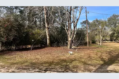 1503 County Road 4455, Woodville, TX 75979 - Photo 34