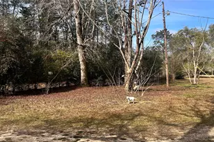 1503 Co Rd 4455, Woodville, TX 75979 - Photo 40