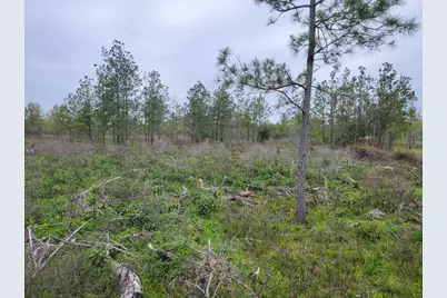 001 County Road 3375, Lovelady, TX 75851 - Photo 10