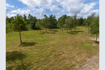 001 County Road 3375, Lovelady, TX 75851 - Photo 4