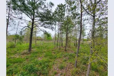 001 County Road 3375, Lovelady, TX 75851 - Photo 12