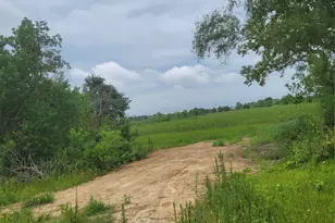 1585 FM686, Dayton, TX 77535 - Photo 6