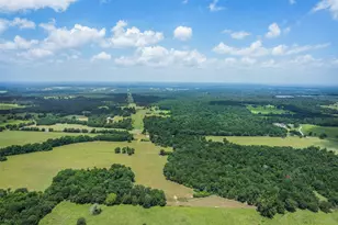 747 Fcr 300, Oakwood, TX 75855 - Photo 38