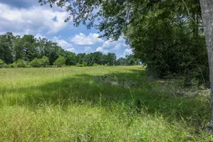 747 Fcr 300, Oakwood, TX 75855 - Photo 24