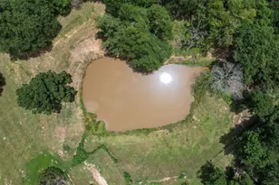 747 Fcr 300, Oakwood, TX 75855 - Photo 44