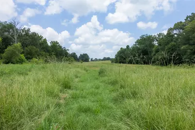 747 Fcr 300 #301, Oakwood, TX 75855 - Photo 26