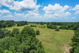 747 Fcr 300, Oakwood, TX 75855 - Photo 30