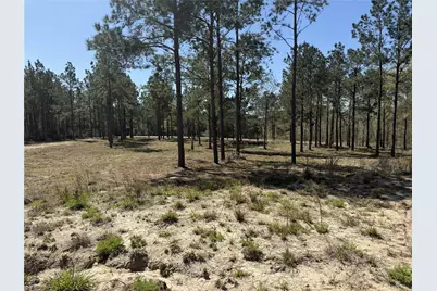 521 Rolling Pines Dr, Livingston, TX 77351 - Photo 2