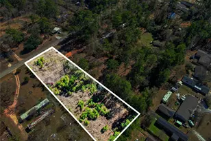 31307 Terri Ln, Magnolia, TX 77355 - Photo 8