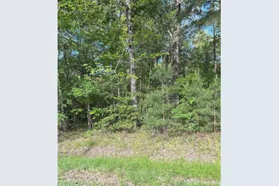 Tbd Knottypine Rd, Livingston, TX 77351 - Photo 10