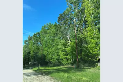 Tbd Knottypine Rd, Livingston, TX 77351 - Photo 12