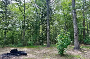 202 Spring Creek Loop, Livingston, TX 77351 - Photo 6