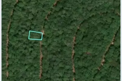 34191 White Feather Circle, Hempstead, TX 77445 - Photo 6