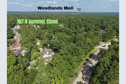 107 N Summer Cloud Drive, The Woodlands, TX 77381 - Photo 38