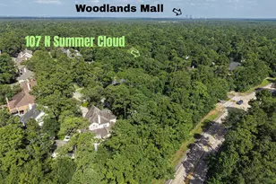 107 N Summer Cloud Dr, The Woodlands, TX 77381 - Photo 38