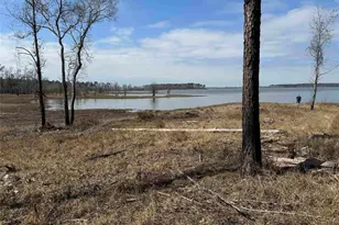 057 Private Road 6028, Brookeland, TX 75931 - Photo 10