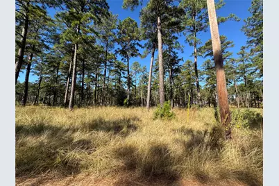 057 Private Road 6028, Brookeland, TX 75931 - Photo 4