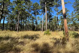 057 Private Road 6028, Brookeland, TX 75931 - Photo 4