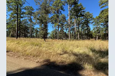 057 Private Road 6028, Brookeland, TX 75931 - Photo 6