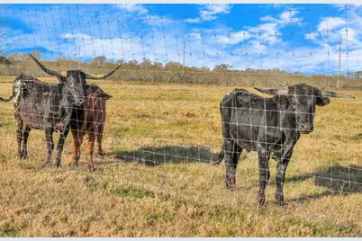 6111 Jacks Alley, Wallis, TX 77485 - Photo 48