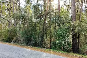 0 Belleau Wood Dr, Houston, TX 77338 - Photo 1