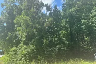 0 Ramblewood, Magnolia, TX 77354 - Photo 2