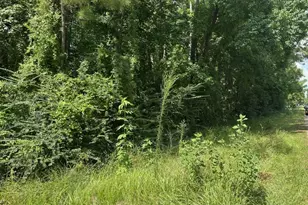 0 Ramblewood, Magnolia, TX 77354 - Photo 4