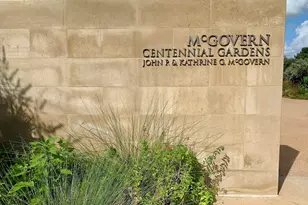 1205 Autrey St, Houston, TX 77006 - Photo 28